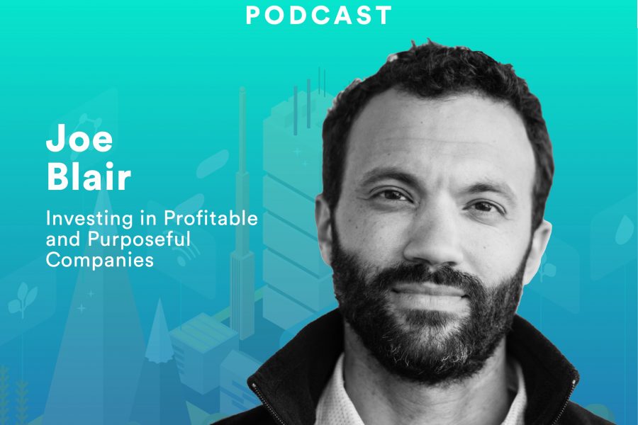 Investing in Profitable and Purposeful Companies